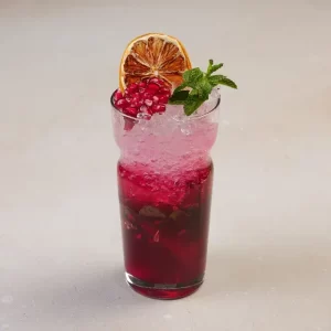 موهیتو انار